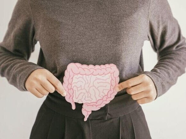 mulher segurando uma ilustração do intestino.