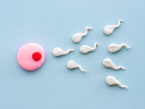 Representação visual de um óvulo rosa e vários espermatozoides brancos, ilustrando a fecundação.