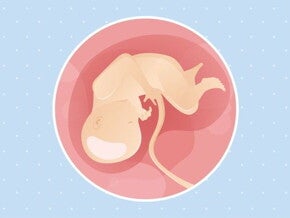 34ª semana de gravidez