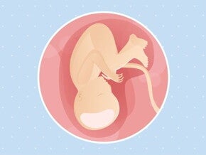 37ª semana de gravidez