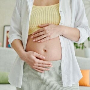 Mulher grávida com as mãos apoiadas na barriga, destacando o início da gestação. Mulher grávida com as mãos apoiadas na barriga, destacando o início da gestação.