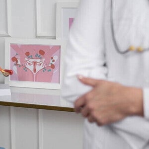 Foco em um modelo anatômico do útero sobre uma mesa, colocada atrás de um médico. Foco em um modelo anatômico do útero sobre uma mesa, colocada atrás de um médico.