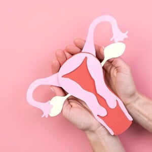 Imagem de mão feminina segurando um desenho de órgão feminino. Imagem de mão feminina segurando um desenho de órgão feminino.
