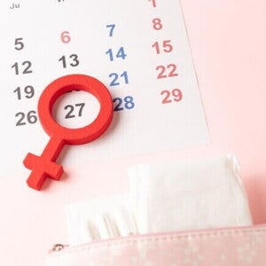 Calendário menstrual com o símbolo de feminino indicando o dia da ovulação e o período fértil Calendário menstrual com o símbolo de feminino indicando o dia da ovulação e o período fértil