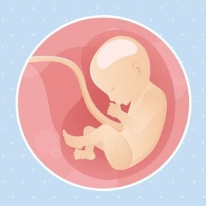 30ª semana de gravidez