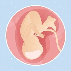 37ª semana de gravidez