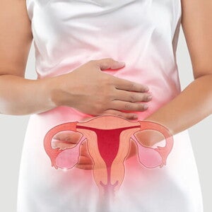 Imagem do sistema reprodutor feminino sobreposto na região pélvica de um mulher que está com as mãos sobre o abdômen Imagem do sistema reprodutor feminino sobreposto na região pélvica de um mulher que está com as mãos sobre o abdômen