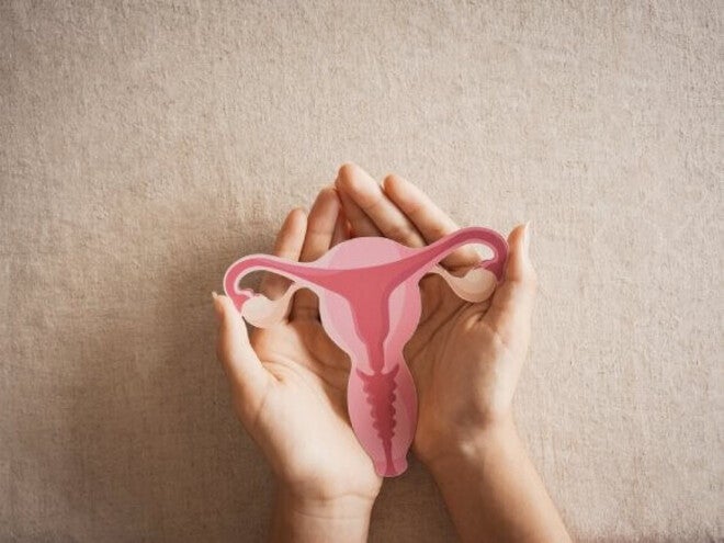 Mulher segurando útero, sistema reprodutor feminino, saúde da mulher, SOP, conceito ginecológico.