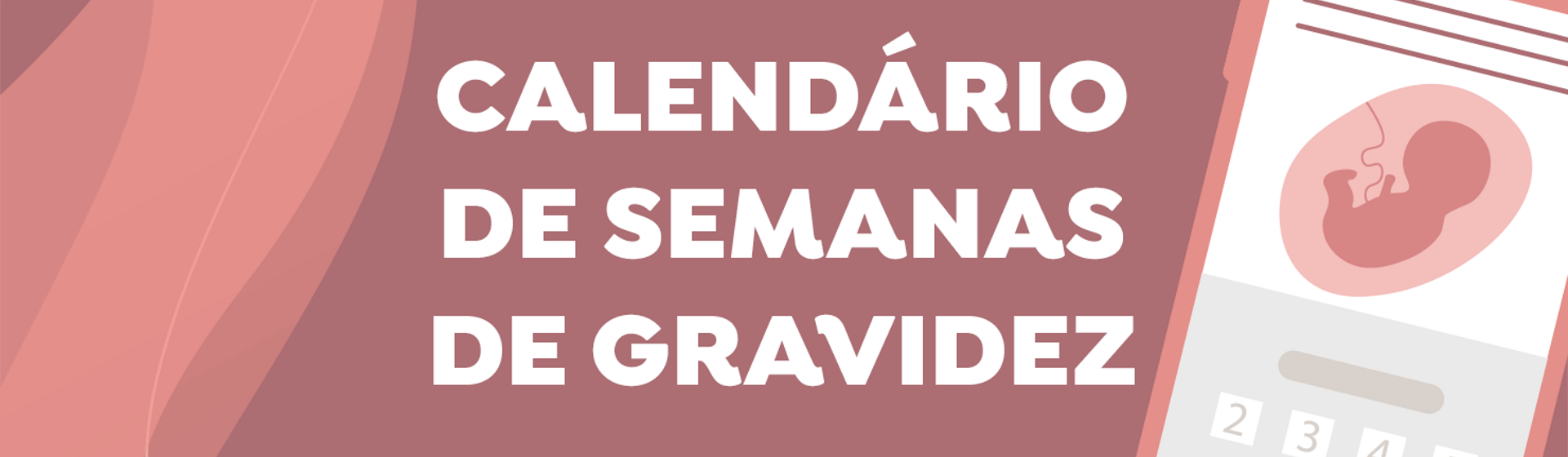 Calendário de semanas de gravidez