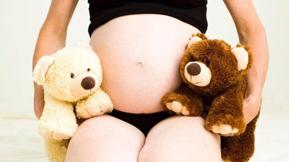 Uma mulher grávida segura dois ursos de pelúcia, um de cor clara e outro de cor escura, na frente da barriga. A imagem representa a expectativa da gravidez de gêmeos.