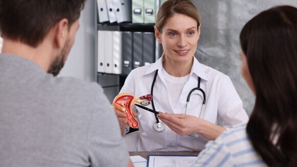 Médica explica o procedimento de preservação da fertilidade usando um modelo anatômico para um casal em consulta.