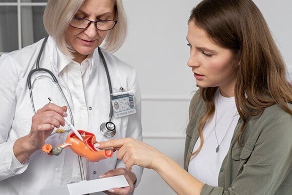 Médica mostrando para uma mulher o sistema reprodutor feminino Médica mostrando para uma mulher o sistema reprodutor feminino