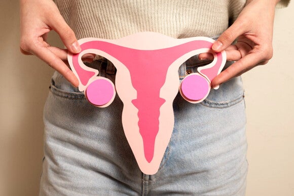mulher segurada ilustração de sistema reprodutor mulher segurada ilustração de sistema reprodutor